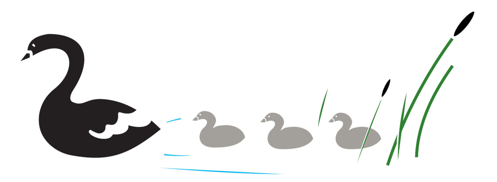 Original art - Swans